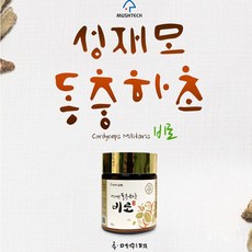 동충화초분말