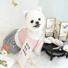 강아지한복케이프만들기