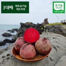 [밋앤밀] 제주오가닉스 산지직송 유기농 제주 레드비트 3k