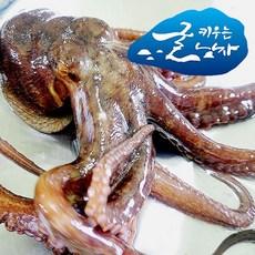 //상품명