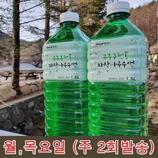 캐나다100퓨어lb메이플시럽단풍나무수액