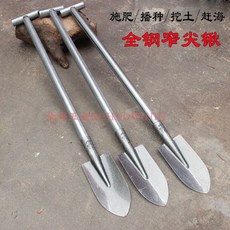 낙지삽