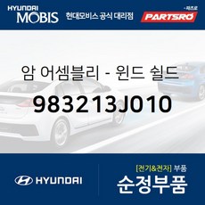 베라크루즈로어암