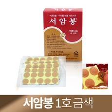 고려수지요법 서금요법 수지침대용 서암봉 1호 금색 1박스 (100개입), 1개