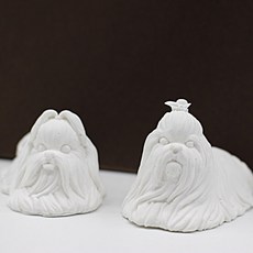 말티즈몰드