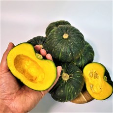 햇살담아팜 제주 미니밤호박 보우짱, 미니밤호박 10kg, 1박스