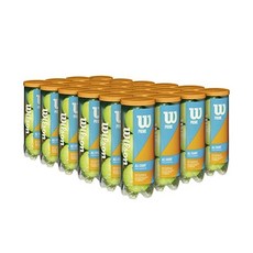 [미국] Wilson Prime All Court Tennis Balls, 24 Can Case 72 Balls