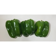 영프레시 청피망 특품 1kg 가락시장 당일경매 (가격변동), 1개