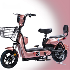  2인용전기자전거 출퇴근 자토바이 소형 배달 전동스쿠터, 로즈골드, 48V12A 리튬 배터리 