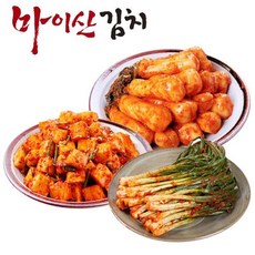 마이산김치 [한국농협김치] 맛남3종10호 총각김치/깍두기/파김치 각1kg