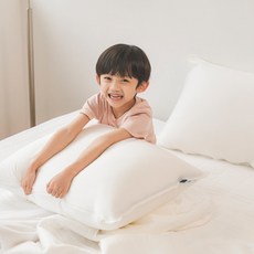 슬라운드 에어쿨 세탁이 편한 초냉감 밴딩베개커버