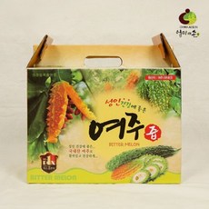 건강식품 건강즙 여주즙 1박스(100ml x 60p)