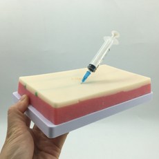 정맥 혈관 주사 IV 연습용 인공 혈관 피부 주사기 포함