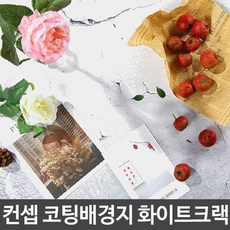 셀프컨셉사진