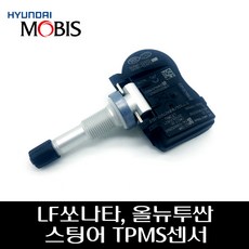 스팅어tpms