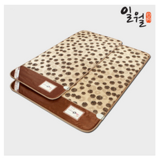 일월2인용전기매트