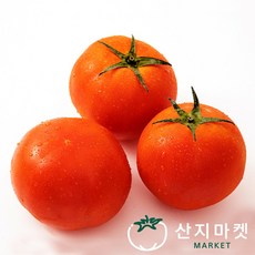 감동 토마토