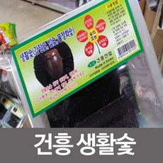물정화용숯