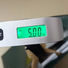 기타 손저울 휴대용 미니 수하물 캐리어 여행용_WFFO134, 1개