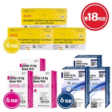 에스디바이오 6T + 래피젠 6T + 젠바디 6T 총18회분 코로나 진단키트 홈테스트, 1개