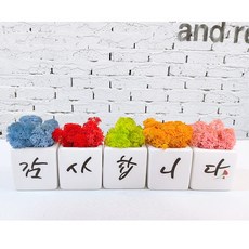 cc39a70607640b79b5e280bd251990b7129f8b9dad776a93000b89572d66.jpg