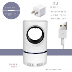 천안발레공연