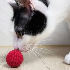 고양이놀이기구 수제 고양이 공 장난감 뜨개공 뜨개볼, 1개, 노랑