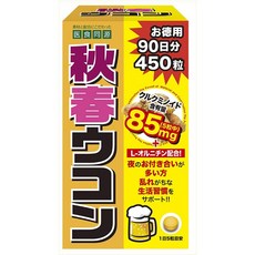정봄