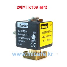 엑스포바