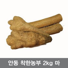 안동참마 알뜰 1 kg 정직을 배달합니다, 안동장마 알뜰 1kg, 1개