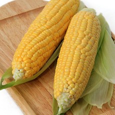 [6월 8일부터 순차출고]제주 달코롬 초당옥수수 20입 (10-14cm)