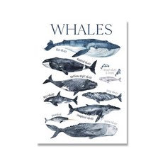 이상한변호사우영우고래