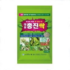 대유총진싹
