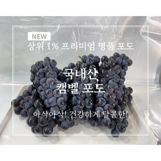 켐벨포도