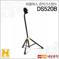 ds520중고