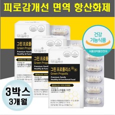 프리미엄 그린 프로폴리스 아연 온가족 피로감 개선제 프로플러스 영양제선물 남성 여성 피로회복 면역력강화 프로폴리 입병 잇몸 치아 목 코 이너케어 건조한 모발 거친 피부 중년