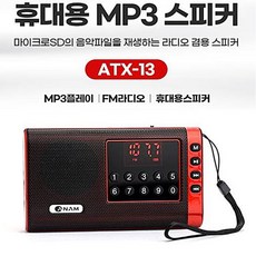 아남전자