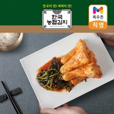 순천남도김치 한국농협김치 총각김치 3kg 국산, 1개