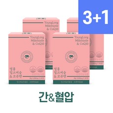 영롱 밀크씨슬 & 코큐텐 4개, 30정
