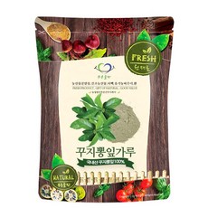 푸른들판 국내산 꾸지뽕잎분말 구지뽕잎분말, 1개, 500g