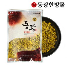 황금속썩은풀100