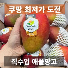 도매가 금메달농수산 직수입 특품 페루 애플망고, 1개, 4kg(8과수내외)