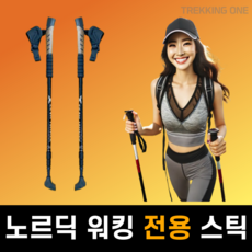 트레킹원 노르딕 워킹 스틱 전용 워킹 스틱, 1개