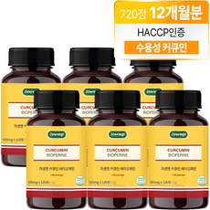 자생 커큐민 앤 바이오페린, 120정, 6개 120정, 6개