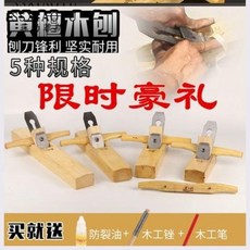 대전가족사진