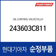 오일 컨트롤 밸브 좌측 (243603C810) 그랜저TG 에쿠스 제네시스 현대모비스부품몰