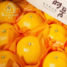 [웰굿] 제주직송 새콤달콤한 천혜향 4.5kg(25-35과내외 소과), 없음, 1개