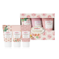 caudalie핸드크림트리오