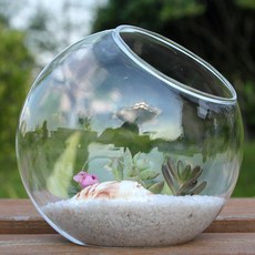 사구미경관 이끼 생태병 고투명 다육 유리 꽃병 DIY 꽃병 선물, 10cm, 10cm