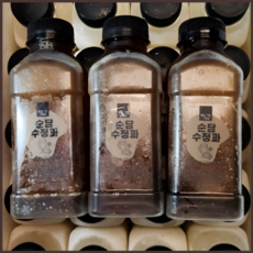 [프리미엄] 자연그대로의 맛을 살린 순담수정과 350ml 20개